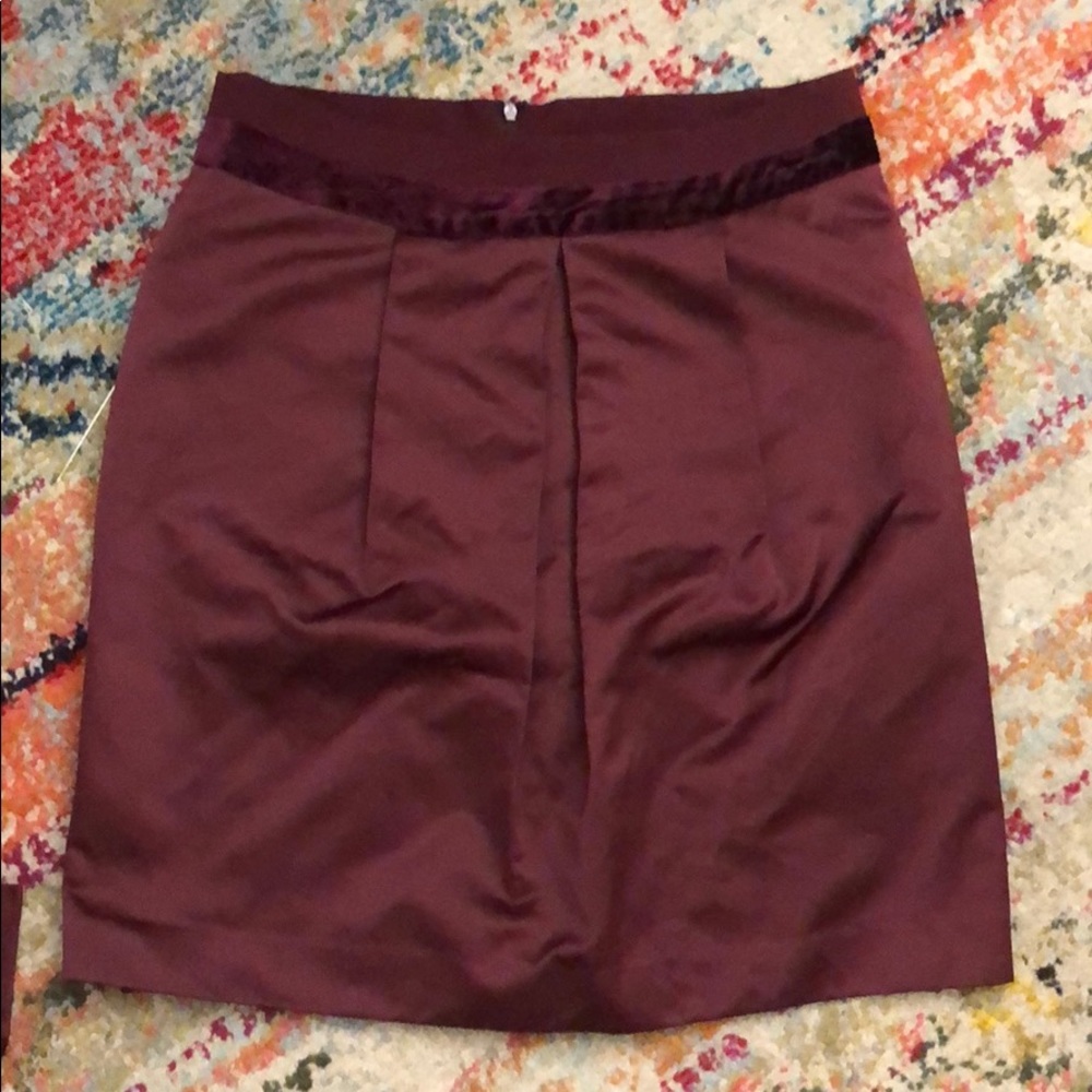 Etro burgundy skirt